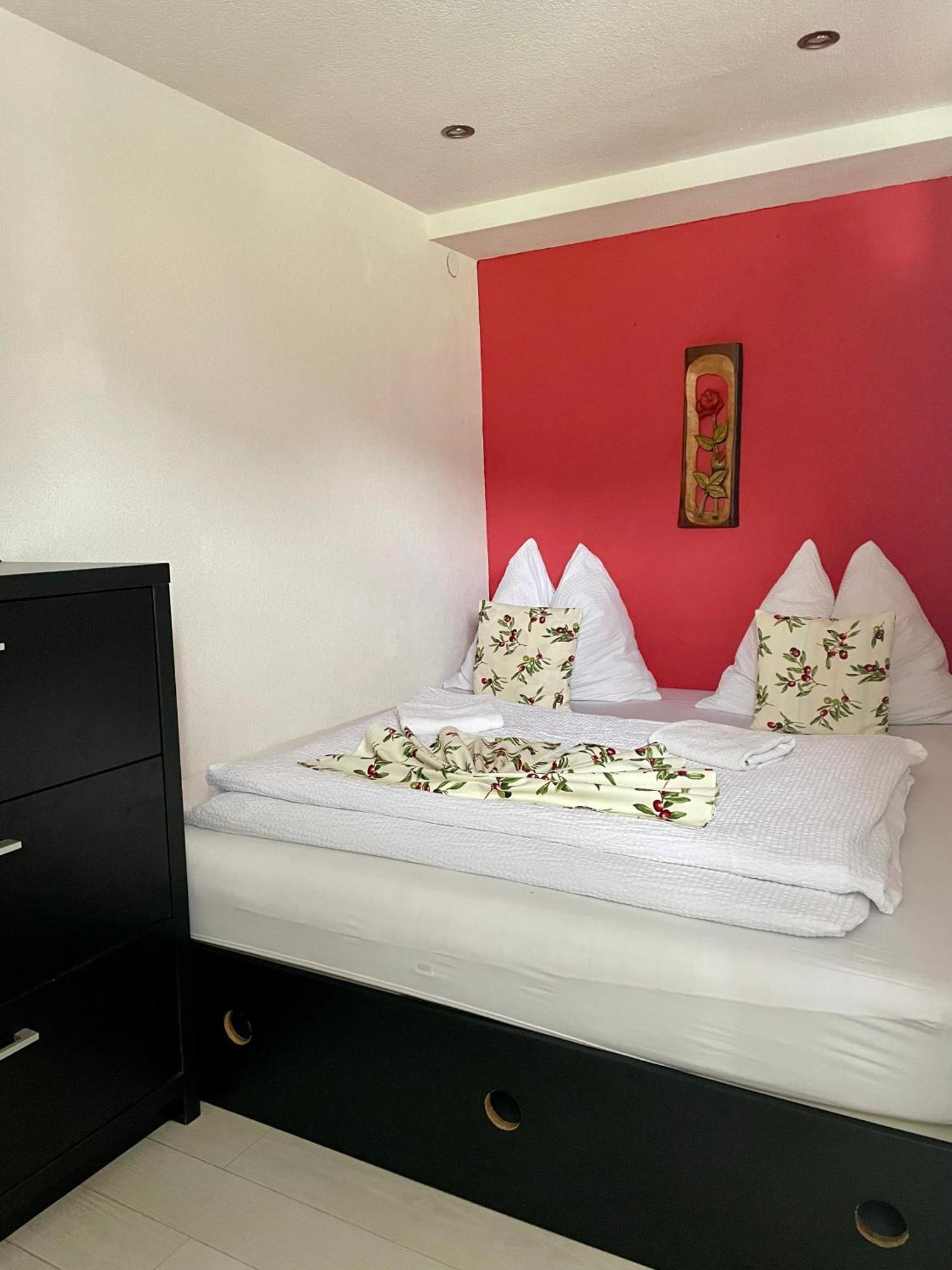Apartmany Pod Troma Korunami Červený Kláštor 外观 照片