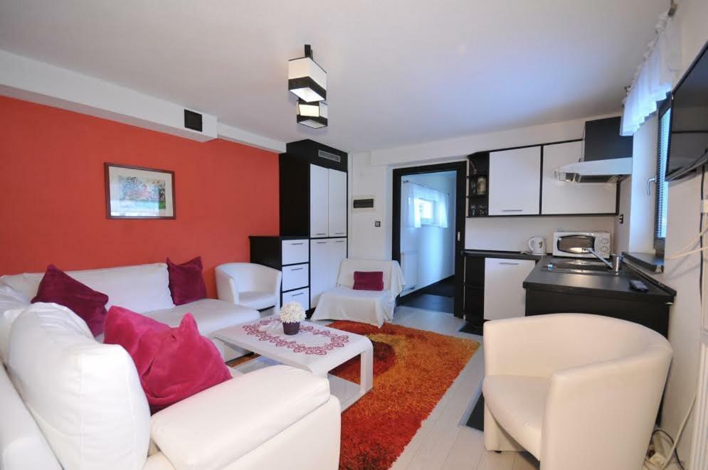 Apartmany Pod Troma Korunami Červený Kláštor 外观 照片